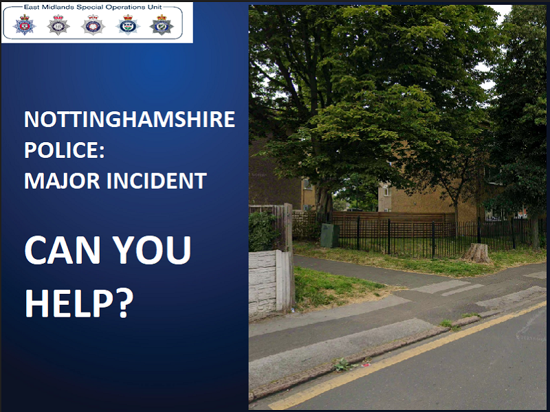 Incident Image