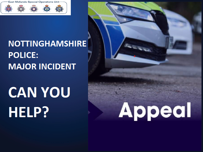 Incident Image