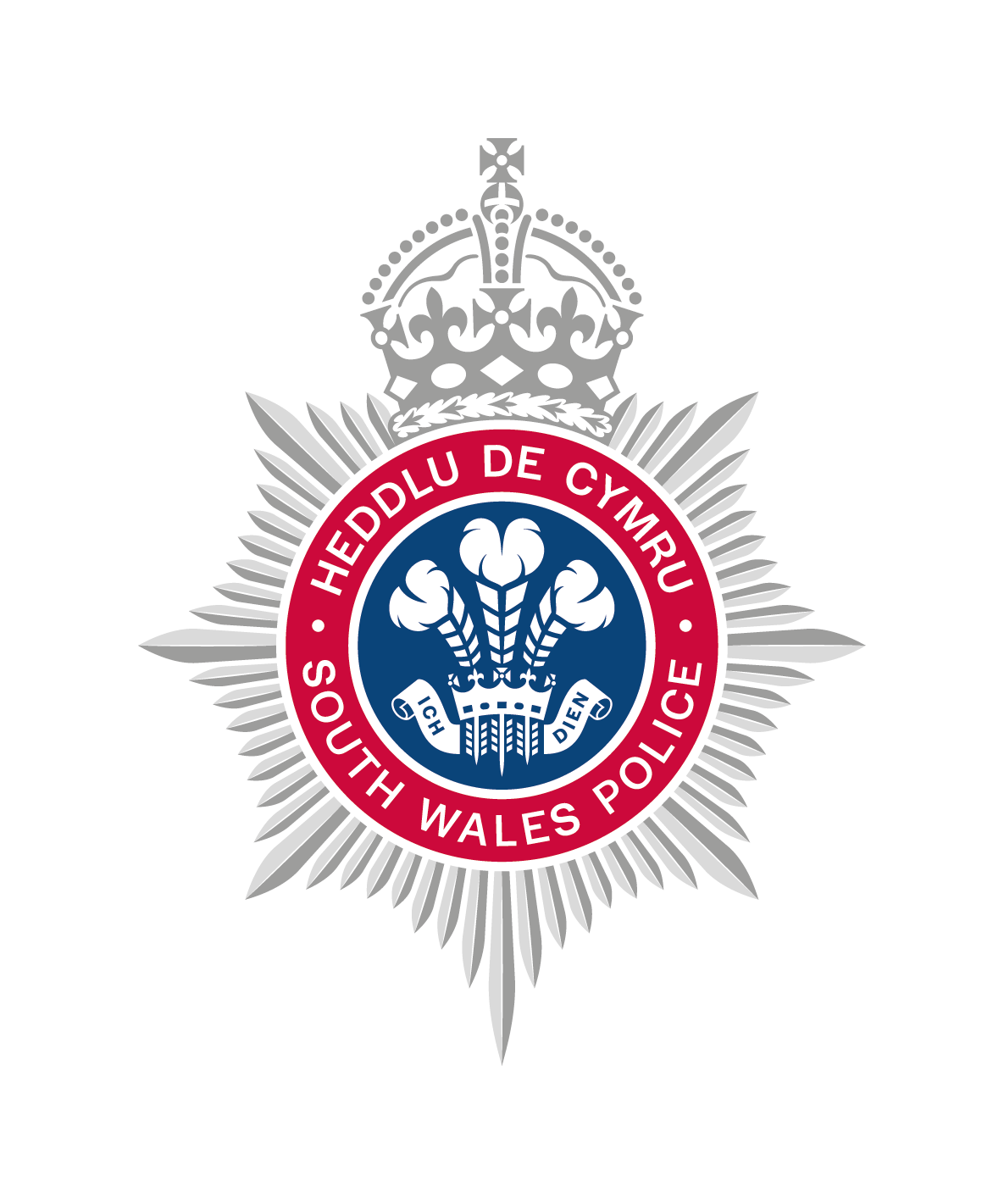 Incident Image