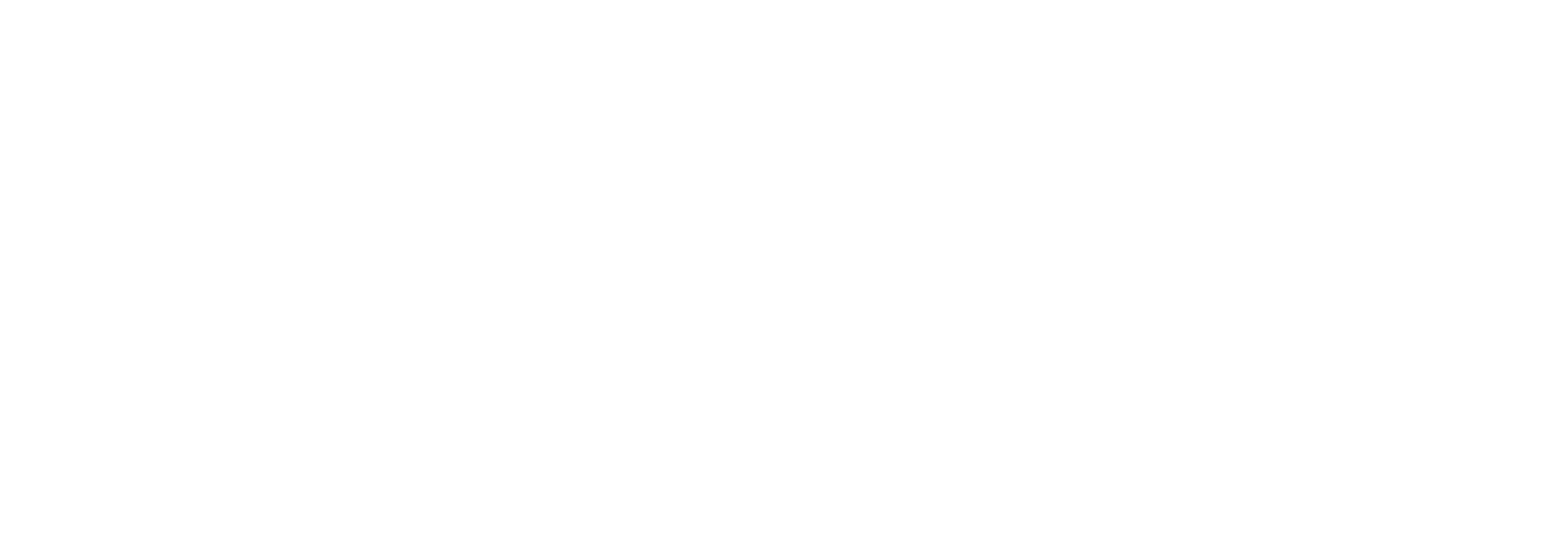 Incident Image